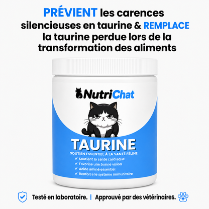 NutriChat | Supplément de Taurine